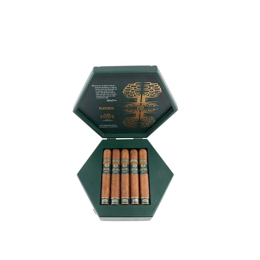Natural-Sixto-I---Hexagono-(Natural)-Plasencia-Alma-Fuerte-1
