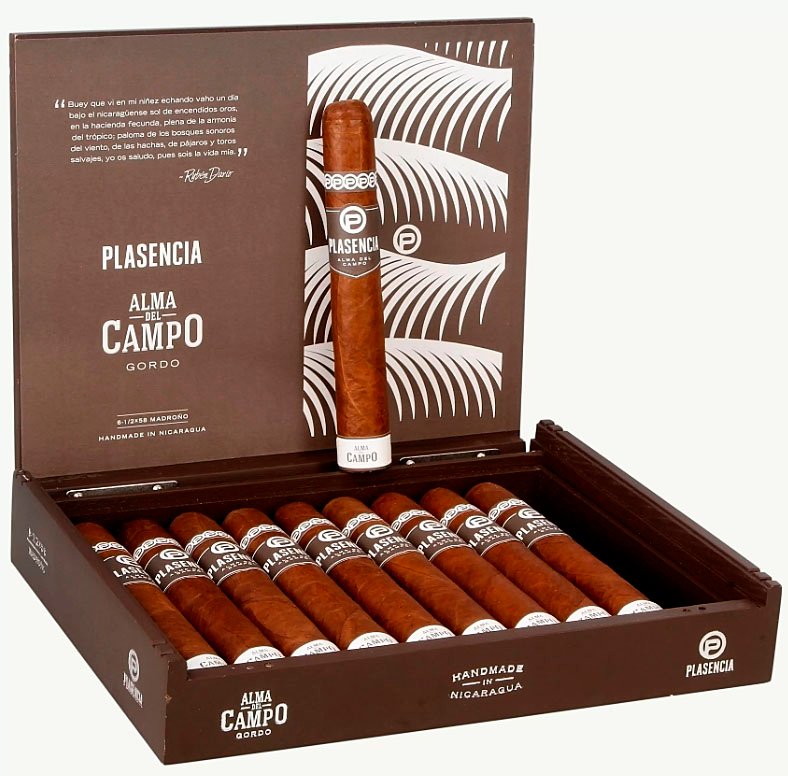 plasencia_alma_del_campo_madrono_gordo_2